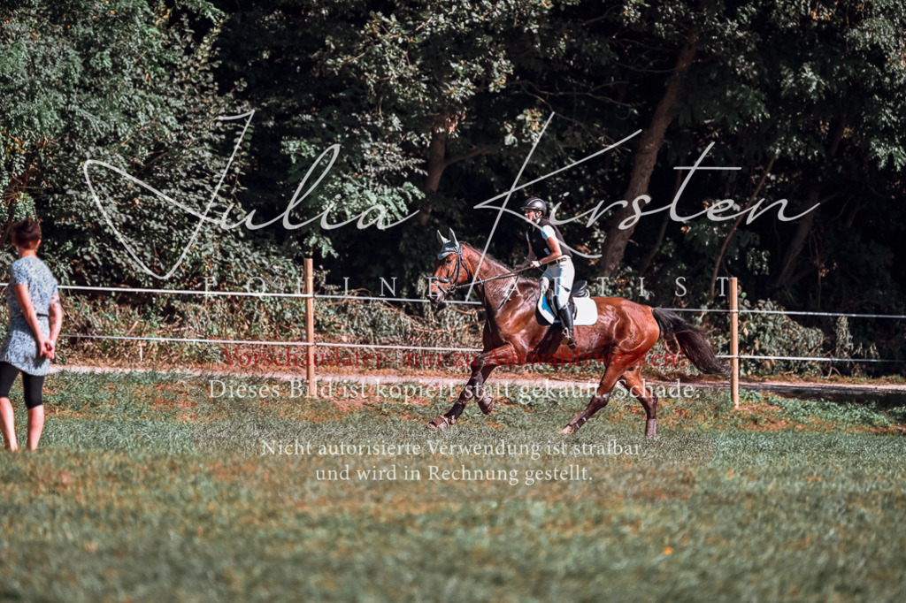 DSC_1003 | Pferde- und Turnierfotografie in Westsachsen. Pferdeportraits, Auftragszeichnungen und intuitive Kunst.