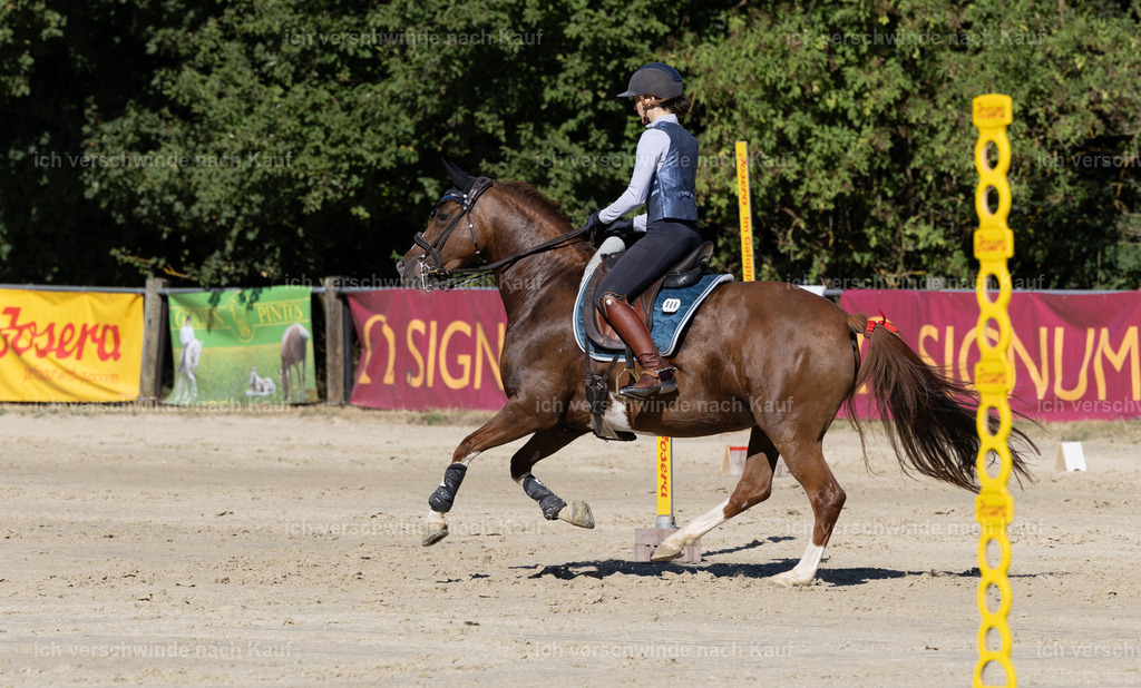 WL_Speed_86_KerstinBernhardt-2 | working equitationturnier fotograf videograf stoibphotography marixx film working equitation deutschland reitsport turnierfotografie eventfotografie equestrian events