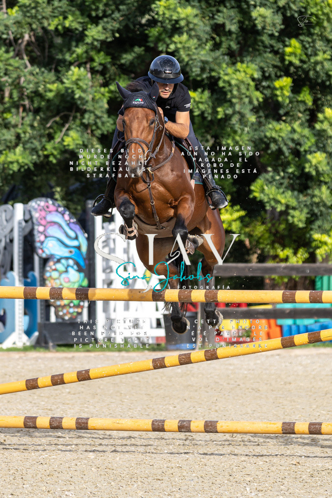 IMG_4363 | s-jay-photography - Realisiert mit Pictrs.com