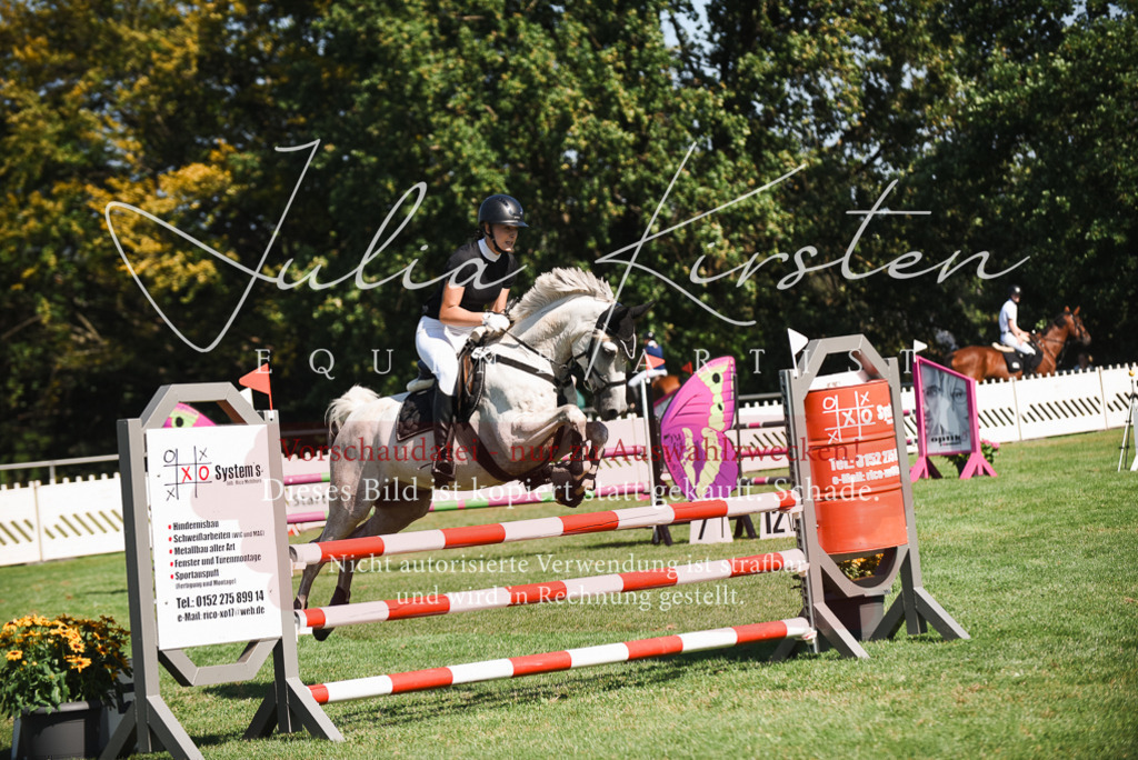 DSC_2750 | Pferde- und Turnierfotografie in Westsachsen. Pferdeportraits, Auftragszeichnungen und intuitive Kunst.