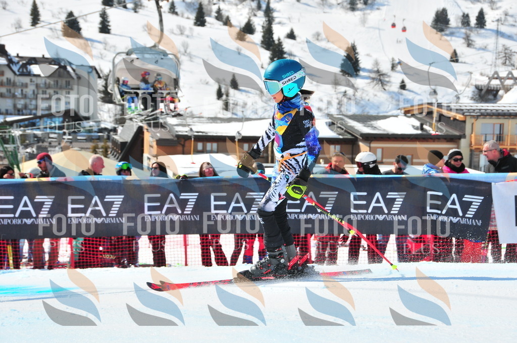 DSC_1253 | holidayphoto