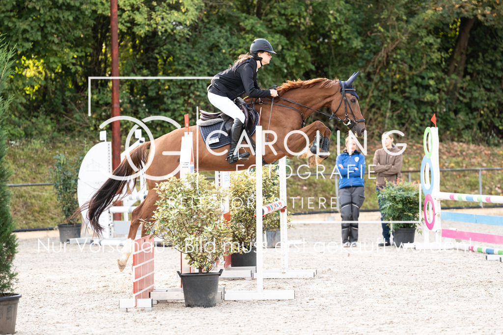 DSC01731 | Carolin Gieschke