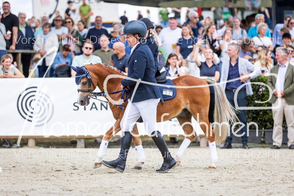 BHO-Führzügel2-002 | MomenTaufnahmen Pferdesportfotos