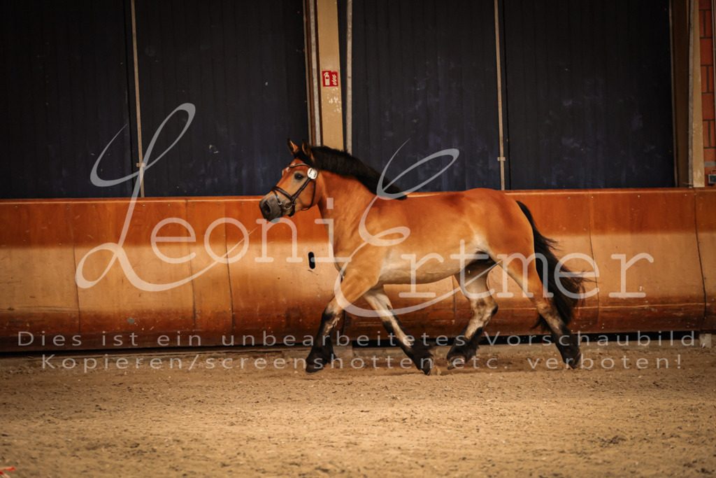 SaFL00203 | Leoni Ertmer Photography - Realisiert mit Pictrs.com