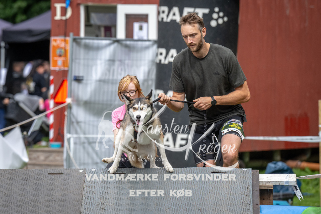 1429_ZZ91116 | kk-dogfotos