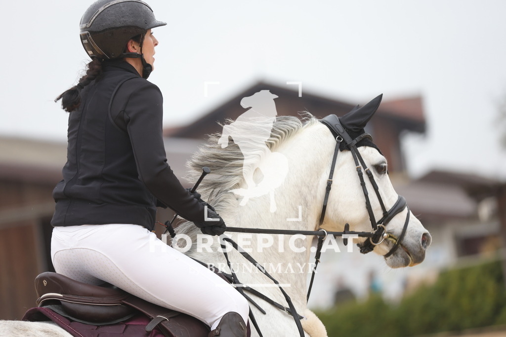 0P6A7632 | Willkommen bei Brunnmayr - Design & Fotografie – Ihrem Spezialisten für Reitturniere und Pferdeveranstaltungen in Oberösterreich, Salzburg und Bayern! Seit über 17 Jahren sind wir leidenschaftlich dabei.