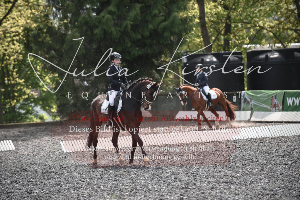 20230513_JK-Röhrsdorf-14-942 | Pferde- und Turnierfotografie in Westsachsen. Pferdeportraits, Auftragszeichnungen und intuitive Kunst.