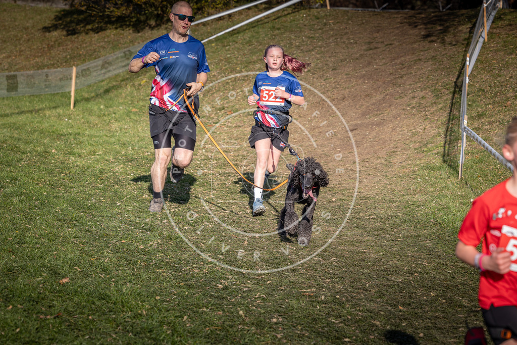 CaniXpix_0L8A8723 | Hundefotografie, Tierfotograf, Pfotenfotografie, Fotoshooting Hund, Hunde Portrait, Hundesport, Hundeportraits, Heideshooting, Hunde, Sportfotograf, Hundefotograf, Turnierhundsport, THS,  - Realisiert mit Pictrs.com