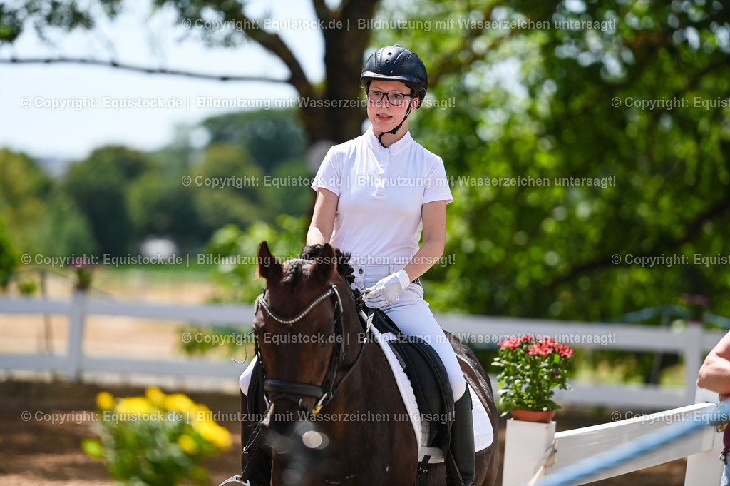 20230715_09_Dressur-WB_0236 | equistock