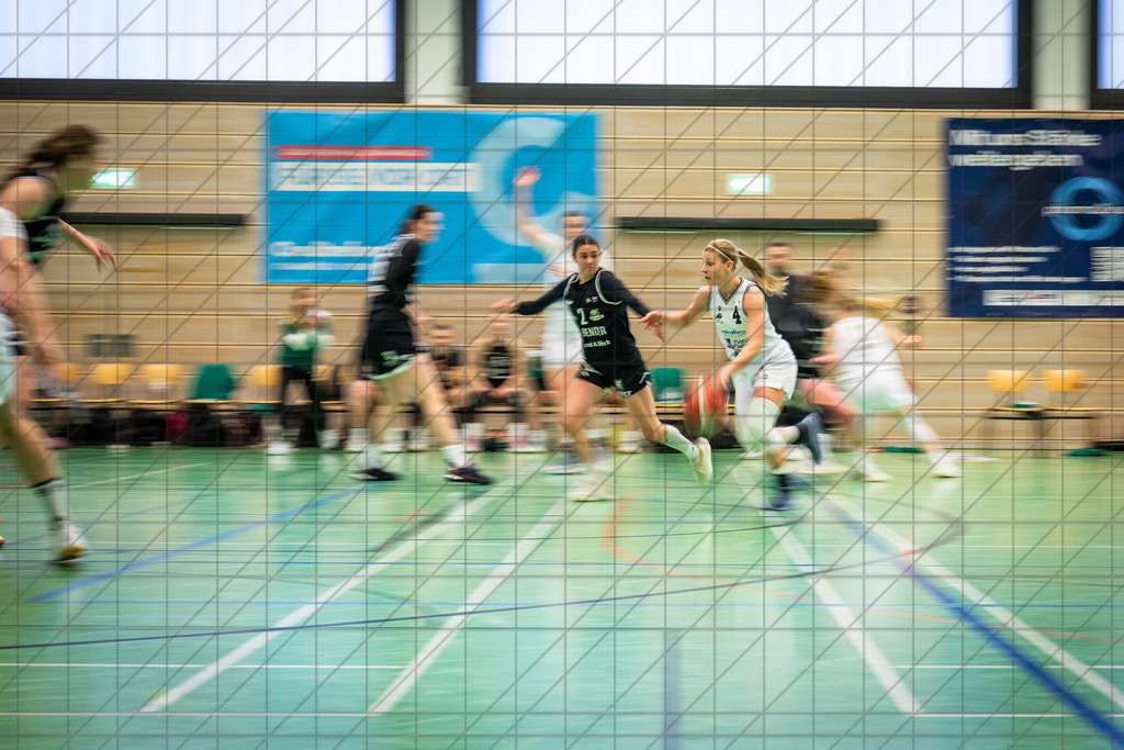 2. DBBL Nord 25/26 | Spieltag 25 | BBC Osnabrück vs. Bender Baskets Grünberg | 04.04.26: 2. DBBL Nord 25/26 | Spieltag 25 | BBC Osnabrück vs. Bender Baskets Grünberg / Osnabrück / Deutschland  //   CREDIT:www.bullenfotos.de, Martin König, Hörner Weg 40, D-49078 Osnabrück, +4917663732967 // Nutzung und Weitergabe nur zu den vereinbarten Zwecken. Presseanfragen an Ersteller. Alle Rechte beim Ersteller. Honorierung nach MFM. - Realisiert mit Pictrs.com