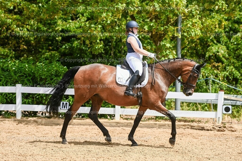 20230715_05_Dressurprüfung Kl.A++_0417 | equistock