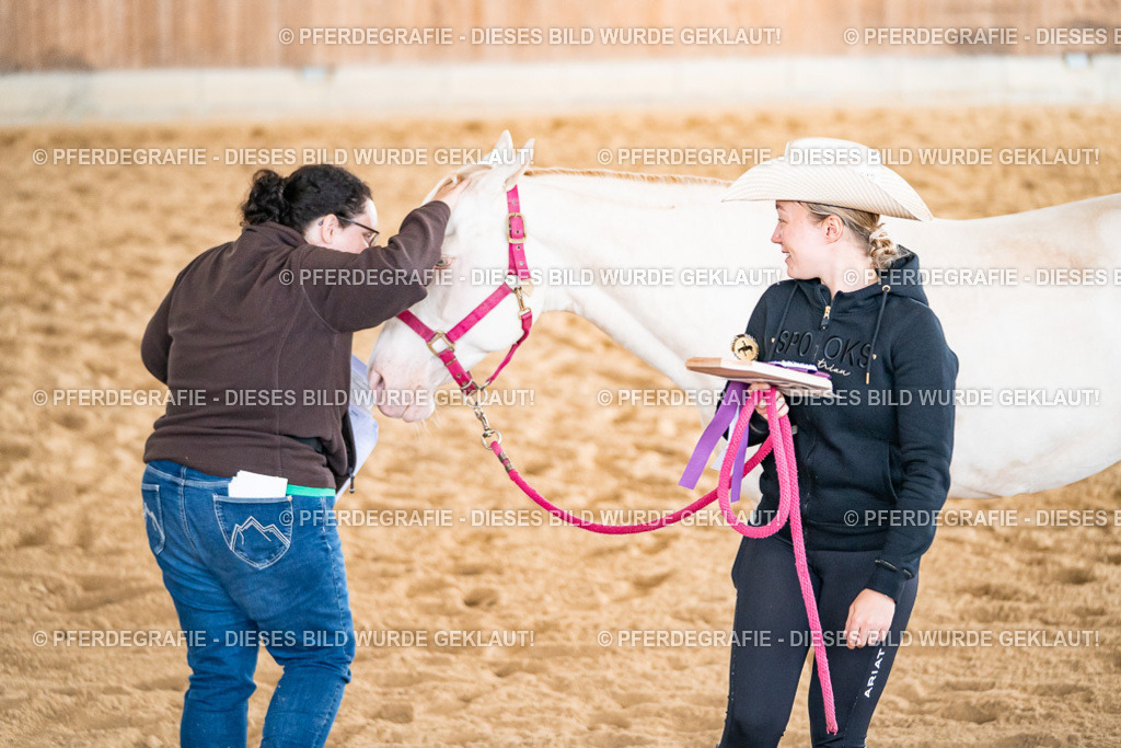 DSC01220 | Pferdegrafie