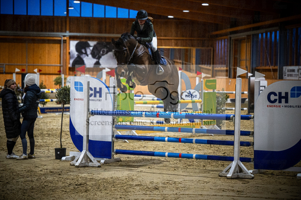 DOS_0788 | Entdecke hochwertige Reitturnierfotos von Foto Oger. Professionell, emotional und authentisch – jetzt Lieblingsmomente im Shop bestellen.Deutschlandweite Turnierfotografie. - Realisiert mit Pictrs.com
