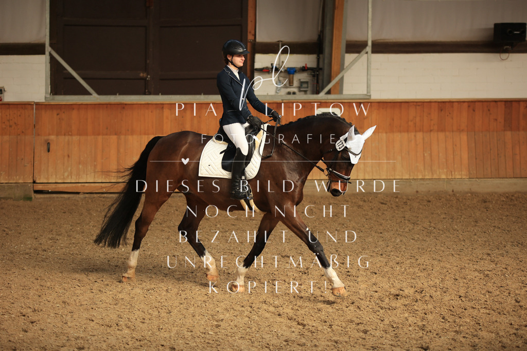 IMGT4758 | pl-fotografie