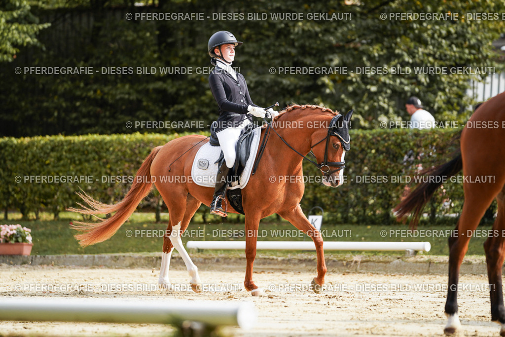 DSC04134 | Pferdegrafie