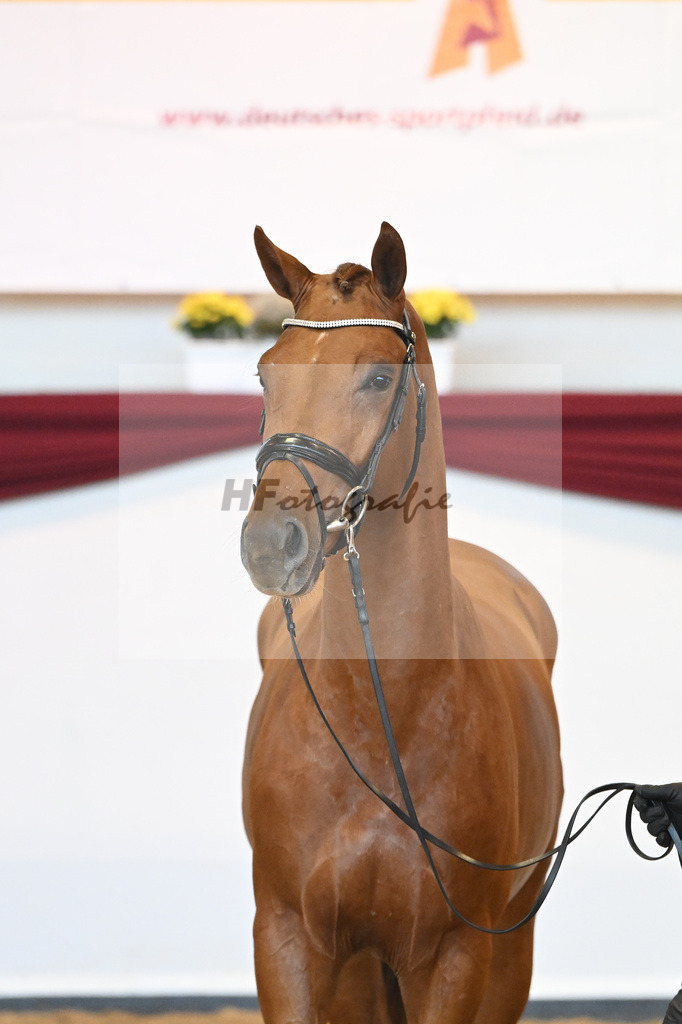Kat-Nr. 28 v. Erdinger_Schuhmacher_66220785 | hf-fotografie - Realisiert mit Pictrs.com