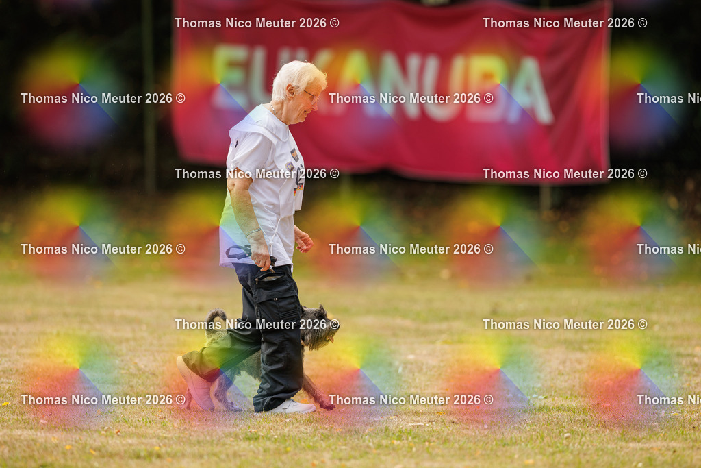 Thomas_Nico_Meuter(C)_22. August 2026_223A2231 | Bild von Thomas Nico Meuter - Realisiert mit Pictrs.com