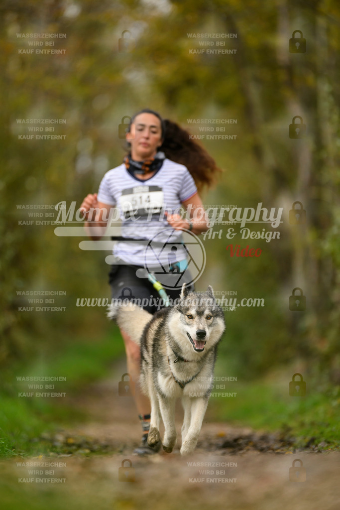 MompixPhotography_20TSB_E6_Run-172 | PayLife