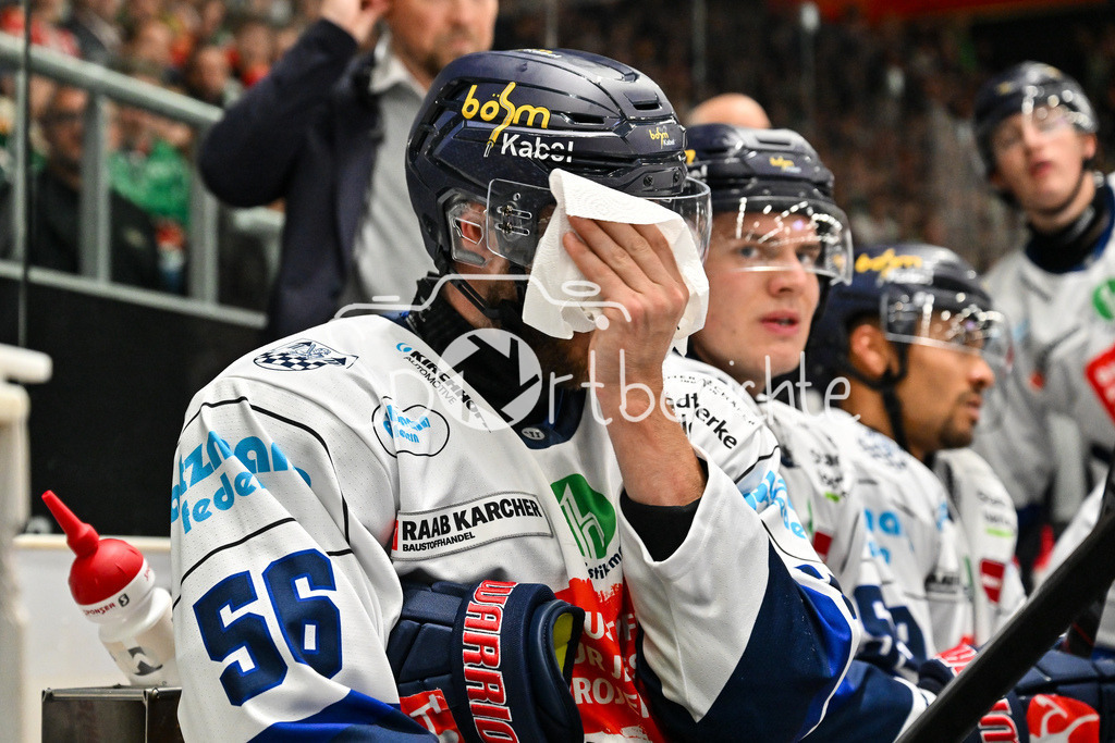 Augsburger Panther - Iserlohn Roosters | in dieser Szene macht Robin NORELL (Iserlohn Roosters 56) seinen Helm sauber / Symbolbild / Penny DEL: Augsburger Panther - Iserlohn Roosters; Curt Frenzel Stadion am 21.09.2025