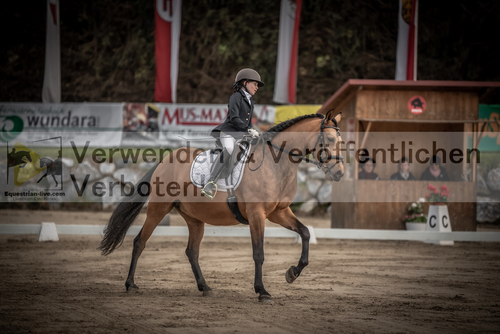 DSC_8435 | equestrian-live-com