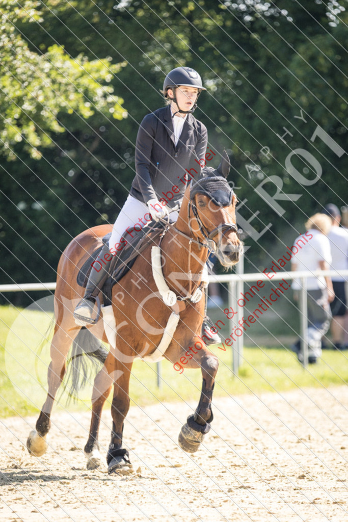 IMG_3243 | Sport-, Event- und Tierfotos in Profiqualität. Einfach auswählen, bestellen und herunterladen. Dein Moment – perfekt festgehalten.