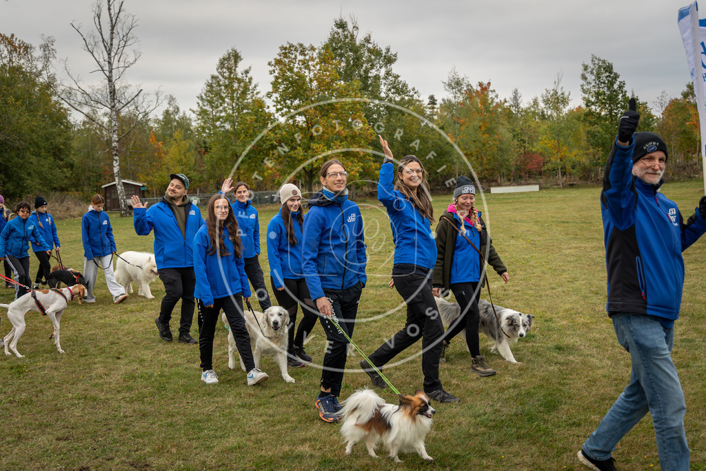 Pfotenfotografie_0L8A0273 | Hundefotografie, Tierfotograf, Pfotenfotografie, Fotoshooting Hund, Hunde Portrait, Hundesport, Hundeportraits, Heideshooting, Hunde, Sportfotograf, Hundefotograf, Turnierhundsport, THS,  - Realisiert mit Pictrs.com