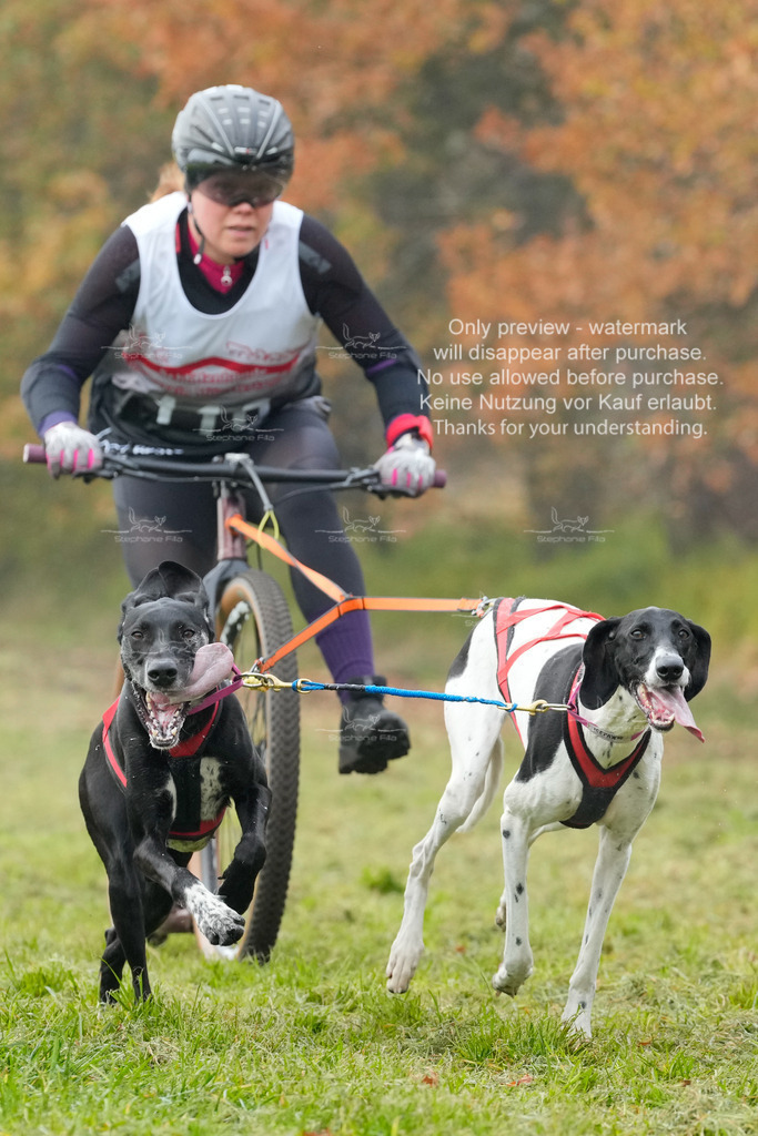 AusschnitteSa-195 | stephaniefillaphotographie - Realisiert mit Pictrs.com