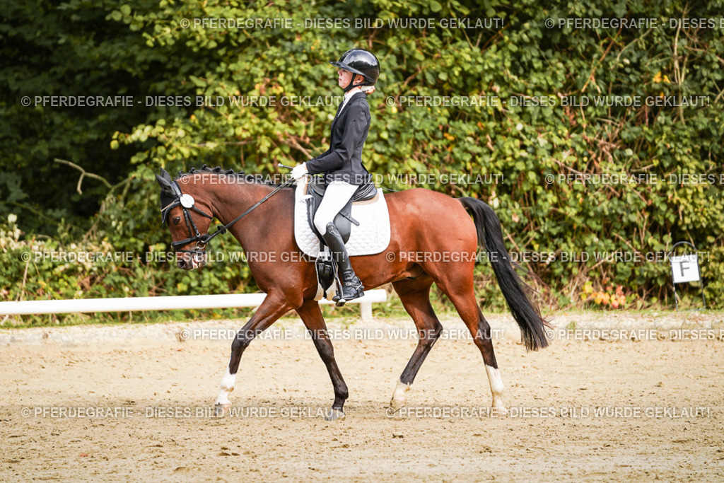 DSC09743 | Pferdegrafie