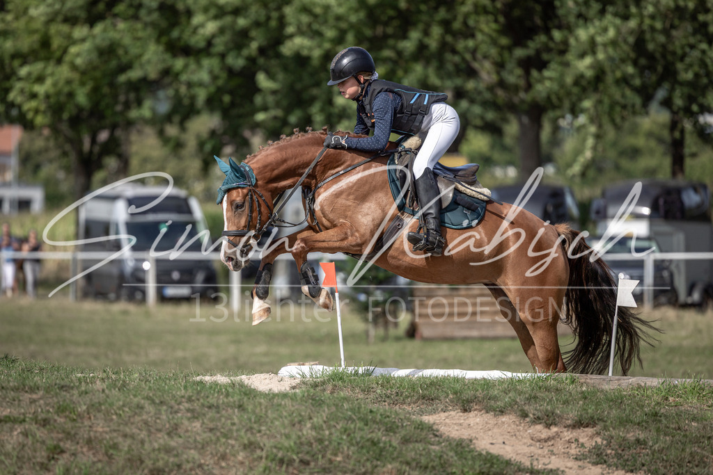20250907-_3LI9606 | Tierfotografie Pferde, Hunde, Katzen, Haustiere.
Turnierfotografie Reitturniere, Reiten, Springreiten, Dressur in Hanau, dem Main-Kinzig-Kreis und dem Rhein-Main- Gebiet um Frankfurt