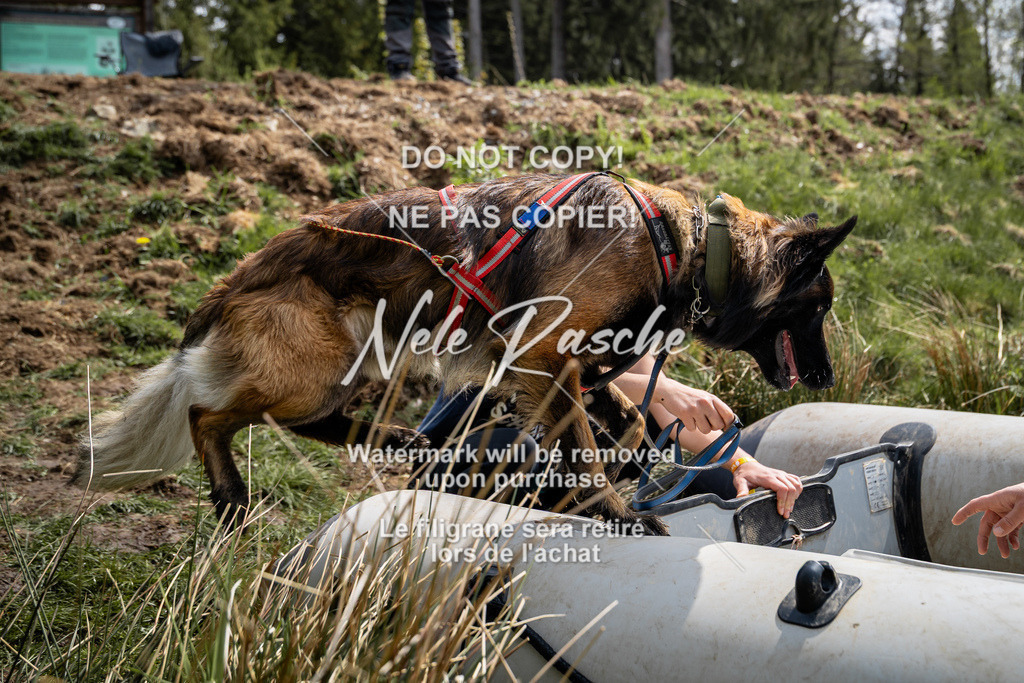 nelerasche_TheGame2026_SoBoot_123 | nelerasche