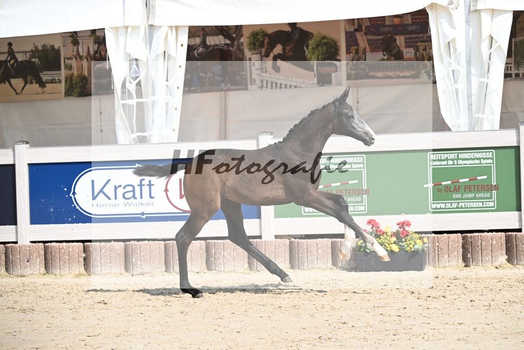 Esperanto x Boss Hoss_SF_Kraft_12250261 | hf-fotografie - Realisiert mit Pictrs.com