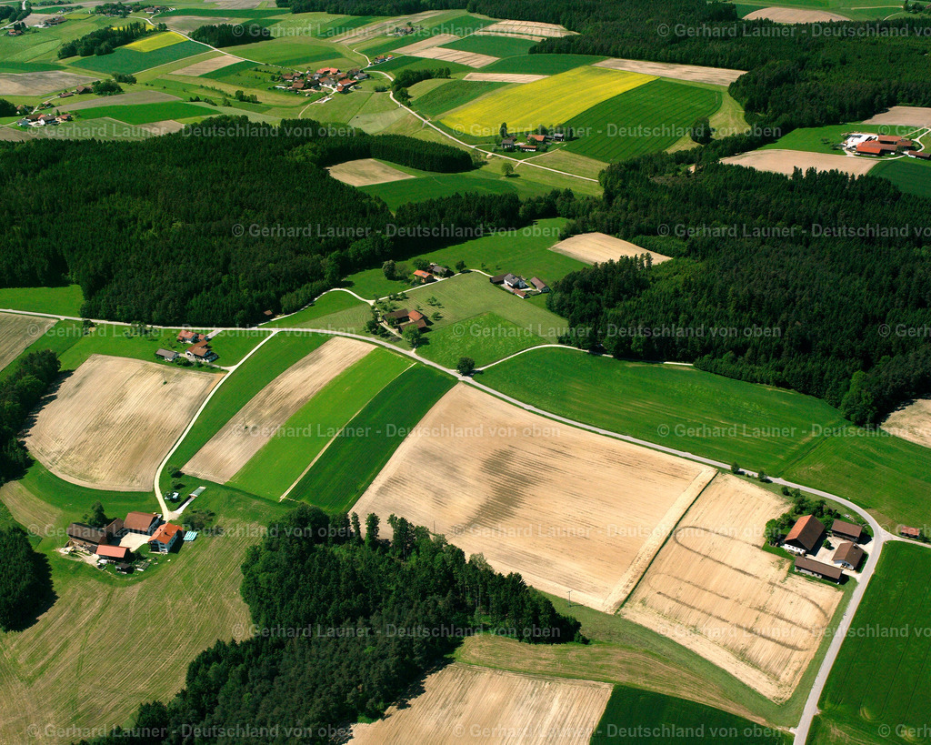 2517393 | Mangst, Dietersburg