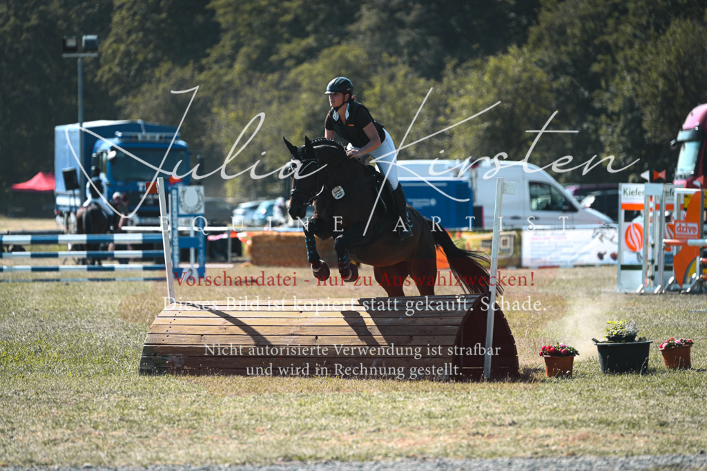DSC_8220 | Pferde- und Turnierfotografie in Westsachsen. Pferdeportraits, Auftragszeichnungen und intuitive Kunst.