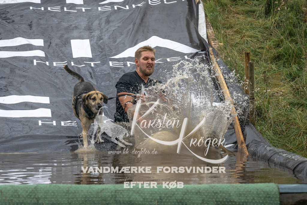 1435_ZZ90938 | kk-dogfotos