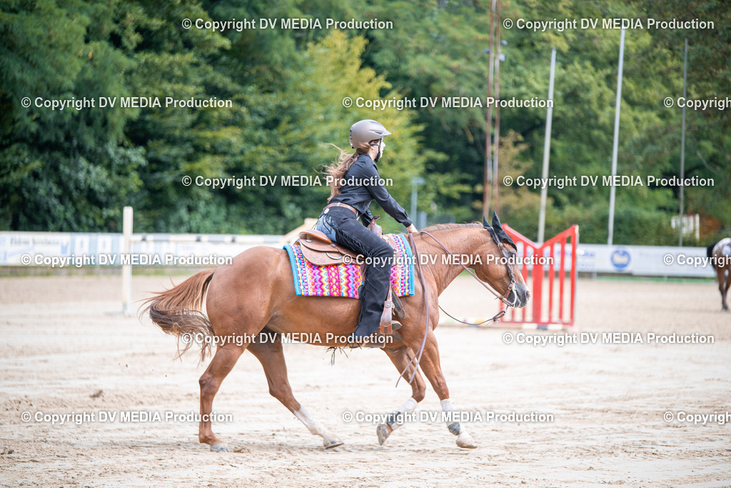 ZS3_5095 | dv-media-shop - Realisiert mit Pictrs.com