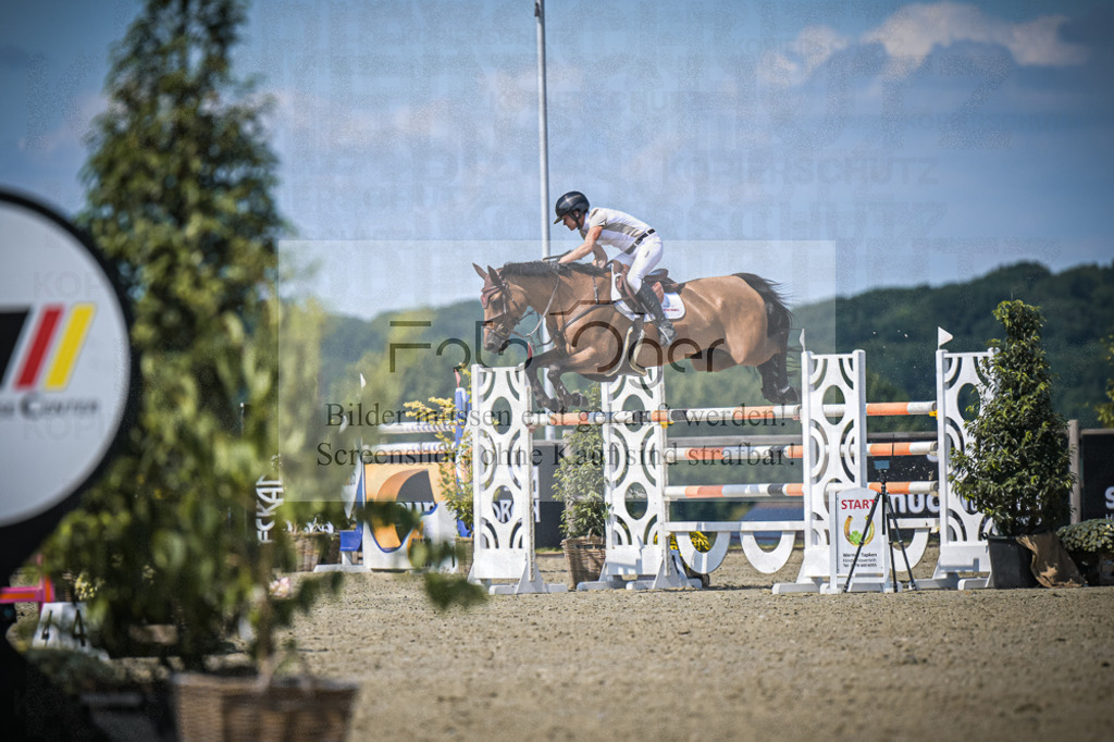 DOS_4538 | Entdecke hochwertige Reitturnierfotos von Foto Oger. Professionell, emotional und authentisch – jetzt Lieblingsmomente im Shop bestellen.Deutschlandweite Turnierfotografie. - Realisiert mit Pictrs.com