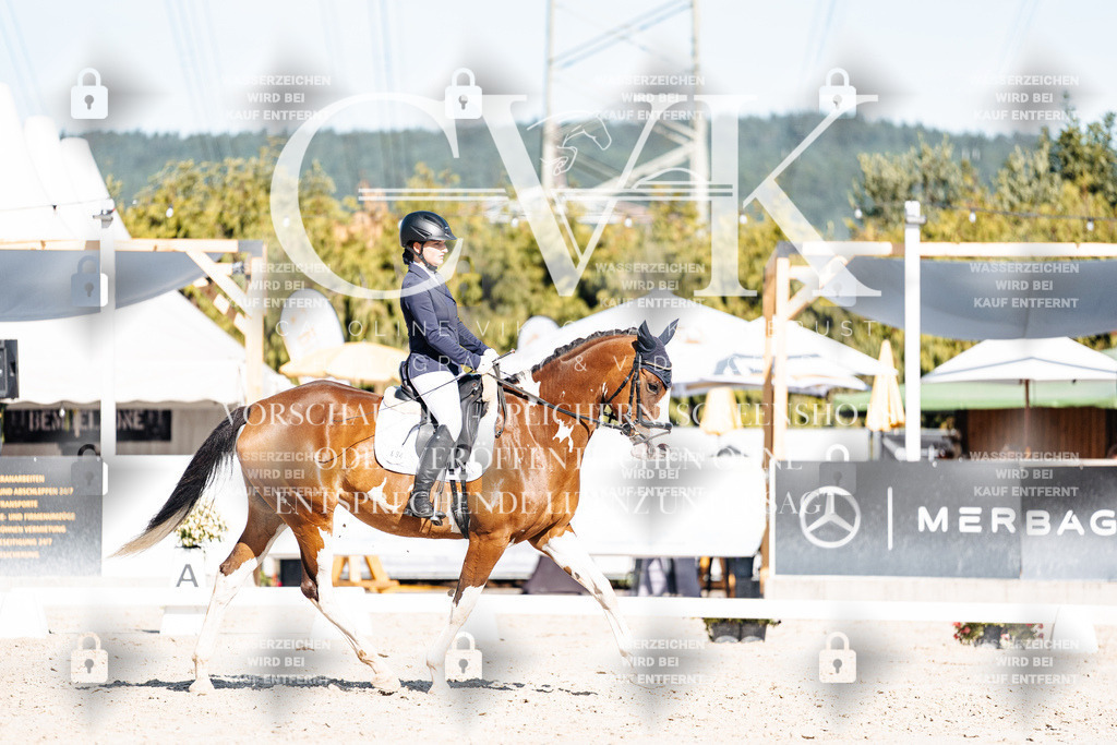 CK908077 | Turnierfotografie Pferdefotografie Trier Rheinland-Pfalz Pferdesport Reitsport Tierfotografie Sportfotografie Pferdevideo Pferdevideografie Equestrianvideography equestrianphotography  - Realisiert mit Pictrs.com