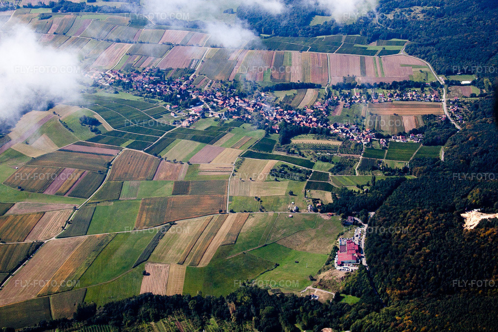 Aerial view: Winegrowers' cooperative in Cleebourg in the state Bas-Rhin, France.Photo: IMG_21011.jpg taken on 09/06/2009 by Werner Riehm/FLY-FOTO.comResolution of the original: 4752 x 3168 px