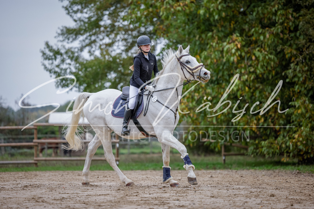20251012-_3LI2784 | Tierfotografie Pferde, Hunde, Katzen, Haustiere.
Turnierfotografie Reitturniere, Reiten, Springreiten, Dressur in Hanau, dem Main-Kinzig-Kreis und dem Rhein-Main- Gebiet um Frankfurt