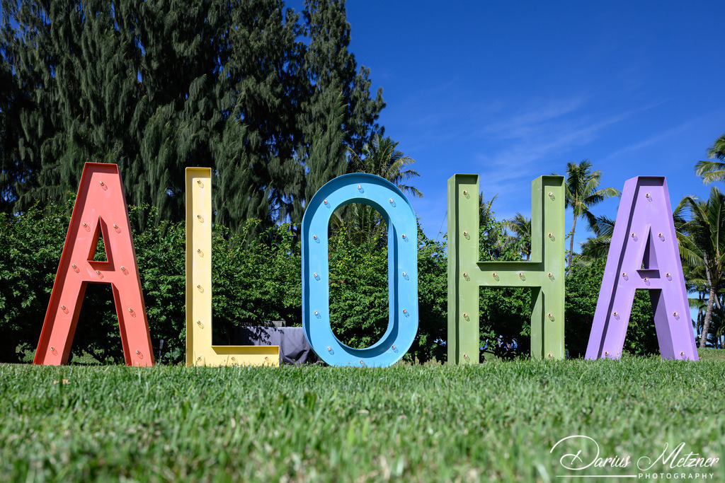 DSC_6772 | Fotografien, Fotos und Bilder aus Mainz, Frankfurt, Wiesbaden und anderen Orten auf der Welt - Fotografiert von Darius Metzner