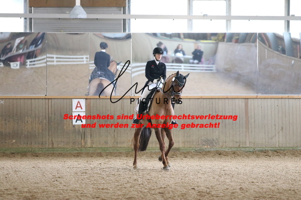 IMG_1154 | lmwpictures - Realisiert mit Pictrs.com