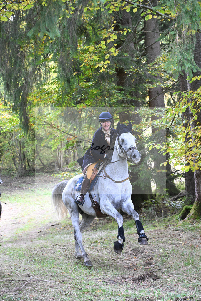 40250792 | hf-fotografie - Realisiert mit Pictrs.com