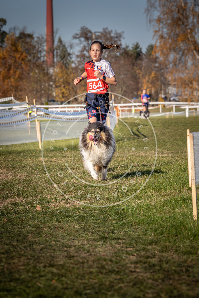 CaniXpix_0L8A7894 | Hundefotografie, Tierfotograf, Pfotenfotografie, Fotoshooting Hund, Hunde Portrait, Hundesport, Hundeportraits, Heideshooting, Hunde, Sportfotograf, Hundefotograf, Turnierhundsport, THS,  - Realisiert mit Pictrs.com