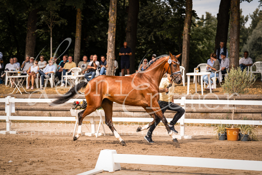 6.Fr00119 | Leoni Ertmer Photography - Realisiert mit Pictrs.com