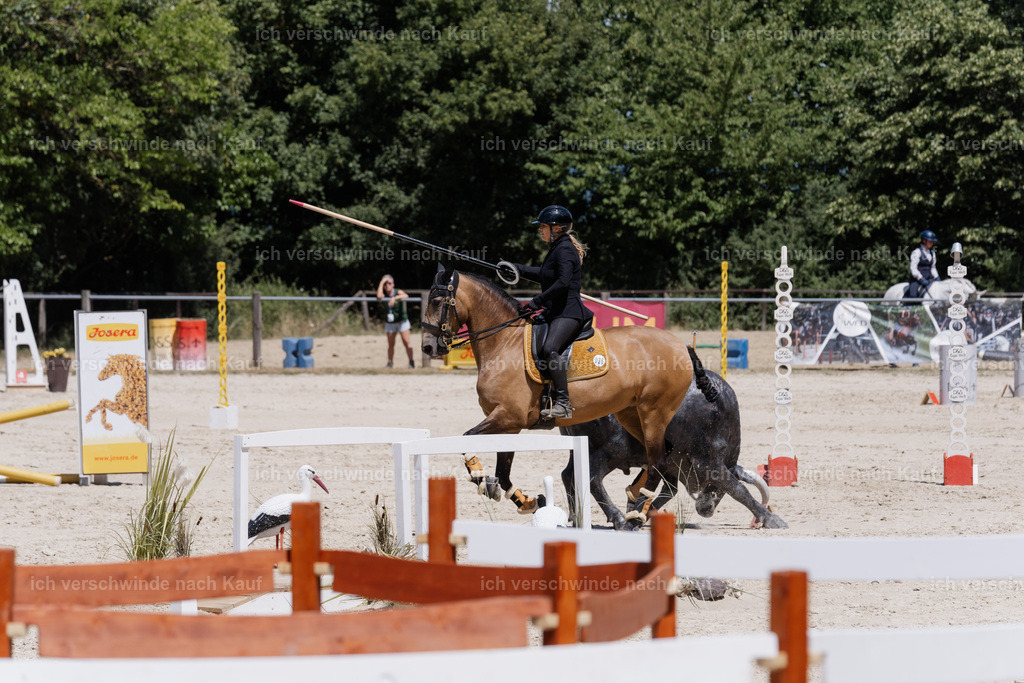 WM_SP_36_SinaFilmArt_IN07688 | working equitationturnier fotograf videograf stoibphotography marixx film working equitation deutschland reitsport turnierfotografie eventfotografie equestrian events
