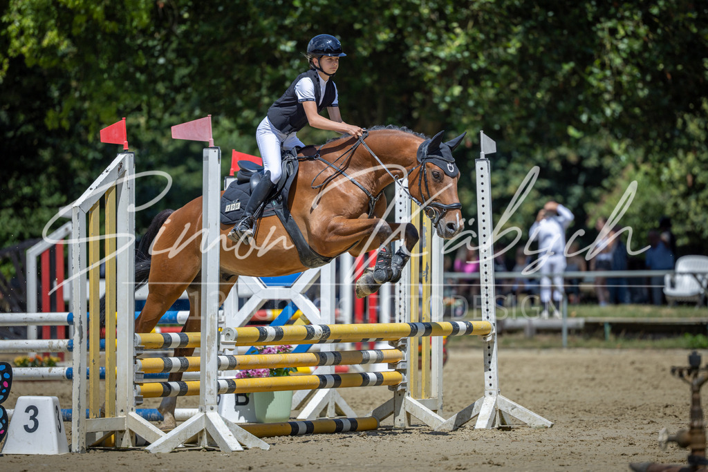 20260704-_3LI8573 | Tierfotografie Pferde, Hunde, Katzen, Haustiere.
Turnierfotografie Reitturniere, Reiten, Springreiten, Dressur in Hanau, dem Main-Kinzig-Kreis und dem Rhein-Main- Gebiet um Frankfurt