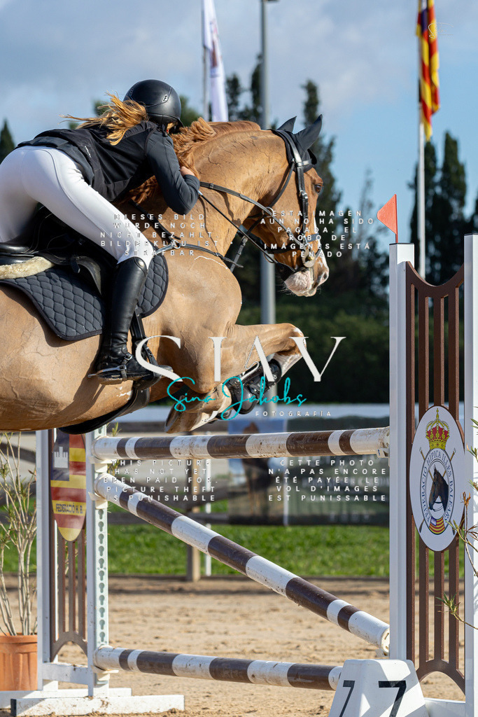 IMG_1721 | s-jay-photography - Realisiert mit Pictrs.com