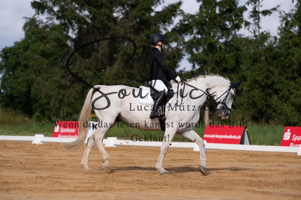 A7V05138 | Pferdefotograf