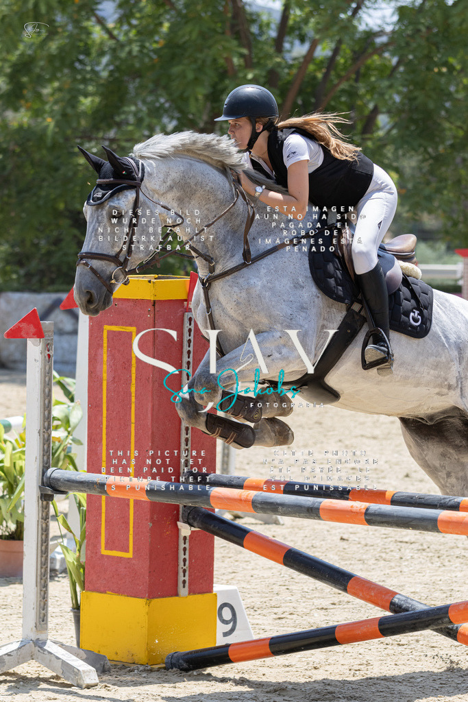 IMG_1802 | s-jay-photography - Realisiert mit Pictrs.com