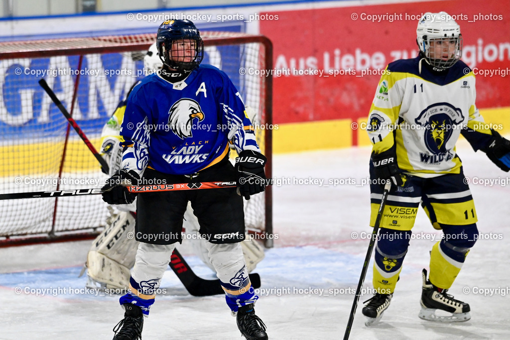 LADY HAWKS vs. WILDCATS PATERNION | #12 Orel Lisa LADY HAWKS, #11 Tschernutter Lara WILDCATS PATERNION, LADY HAWKS vs. WILDCATS PATERNION, LADY HAWKS vs. WILDCATS PATERNION am 12.03.2025 in Steindorf (Ossiachersee Halle), Austria, (Photo by Bernd Stefan)